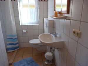 a bathroom with a sink and a toilet and a window at Schmiedekoppel in Kronsgaard