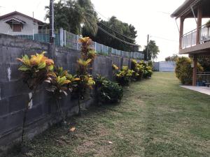 Um jardim no exterior de Philippe & Arlette SMITH