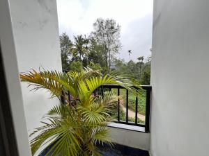 d'un balcon avec un palmier. dans l'établissement Spring Valley, à Anachal