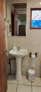 a bathroom with a sink and a mirror and a toilet at Hospedaje Cabaña y Restaurante Don Niba in Villa Cerro Castillo