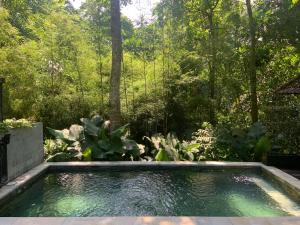 a swimming pool in the middle of a garden at Ubud Hills Villas & Resort in Ubud