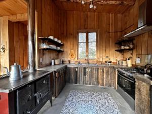 a large kitchen with wooden walls and wooden counters at Alto Castillo in Villa Cerro Castillo