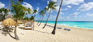 a beach with palm trees and chairs and the ocean at Catalonia Bayahibe - All Inclusive in Bayahibe