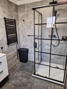 eine Dusche mit Glastür im Bad in der Unterkunft MB APARTMÁNY LIPNO in Lipno nad Vltavou