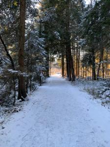 een met sneeuw bedekt pad in een bos met bomen bij Beim Danner in Riedering