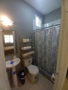 a bathroom with a toilet and a sink and a shower at Palmerola Inn in Comayagua