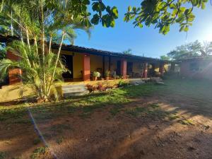una casa con una palmera delante de ella en Palmerola Inn, en Comayagua