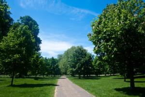 a path in a park with trees and a blue sky at 45 Park Lane - Dorchester Collection in London