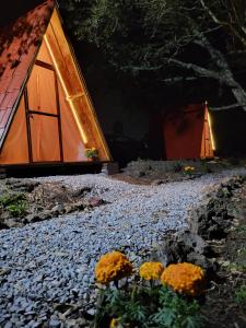 奇格納瓦潘的住宿－Campestre Camp，一组帐篷,前面有鲜花