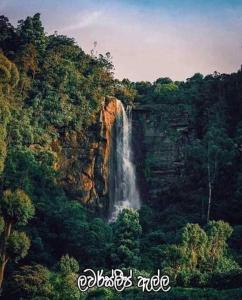 a waterfall in the middle of a forest at The paulwood home cabin in Nuwara Eliya