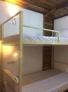 a couple of bunk beds in a room at Watthat & Maladreds GUESTHOUSE dorm 1 in Luang Prabang