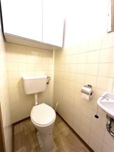 a bathroom with a white toilet and a sink at Ferienwohnung zum Wohlfühlen in Gmunden