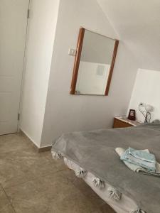 a bedroom with a bed with a mirror on the wall at The park and the Lake in Beer Sheva
