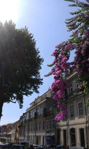 un edificio con flores púrpuras delante de él en House Cedofeita, en Oporto