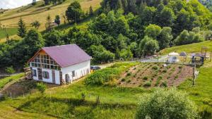 an aerial view of a house on a hill at PENSIUNEA Bori in Gura Humorului