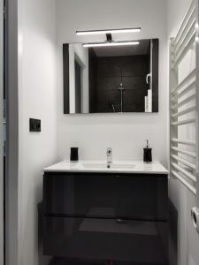 bagno con lavandino e specchio di Logement-Barry entre Tarbes et Lourdes 
