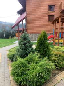 a group of bushes in front of a house at Aura Karpat in Bukovel