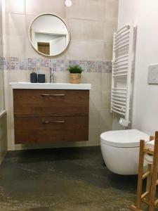 La salle de bains est pourvue d'un lavabo, de toilettes et d'un miroir. dans l'établissement Beautiful Studio at Geneva airport Ferney Voltaire, à Ferney-Voltaire