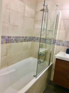a bathroom with a shower and a tub and a sink at Beautiful Studio at Geneva airport Ferney Voltaire in Ferney-Voltaire
