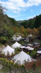 Příroda nedaleko luxury tent