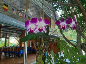 a bunch of purple and white flowers on a tree at Cat Ba Park Homestay in Cat Ba