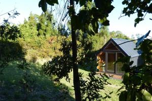 a small house in the middle of a field at Tiny House Camino a Cascadas, Lago Llanquihue in Puerto Octay