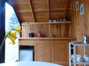 プエルト・オクタイにあるTiny House Camino a Cascadas, Lago Llanquihueのキッチン(木製キャビネット、キャラバン内のシンク付)