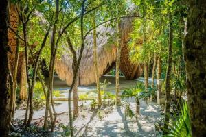 图卢姆Jungle Lounge Barefoot Luxury 3BR Two Level Penthouse with Pool in Luum Zama的树丛中间的草屋