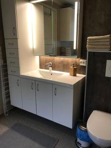 bagno con lavandino bianco e servizi igienici di Gammelstua Seaview Lodge a Kongsjorda