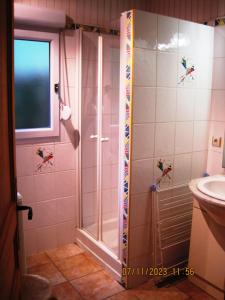 een douche met een glazen deur in de badkamer bij 77 Rue de la Bresse in Nance