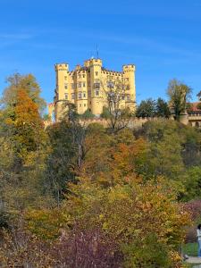 a castle on top of a hill with trees at Haus Deutsch in Roßhaupten