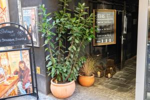 un grupo de plantas en macetas frente a una tienda en Sishaus Hostel en Graz