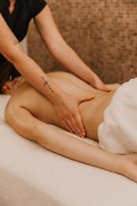 a woman getting a back massage at Les Violettes Hotel & Spa in Jungholtz