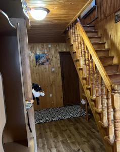 Fotografie z fotogalerie ubytování Cottage u Romana v destinaci Jaremče