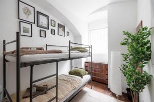 1 dormitorio con 2 literas y ventana en Vienna City Business Rooms, en Viena