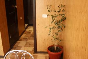 Fotografie z fotogalerie ubytování Квартира на набережная v destinaci Pavlodar + 2 fotografie