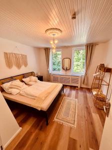 a bedroom with a bed and a ladder in it at Heideglück an der Rotbuche in Soltau