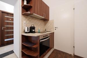 Kuchyň nebo kuchyňský kout v ubytování Vienna City Business Rooms
