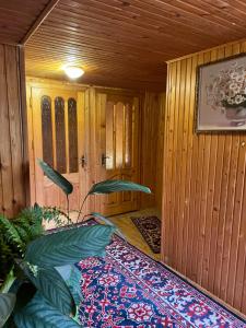 Fotografie z fotogalerie ubytování Cottage u Romana v destinaci Jaremče