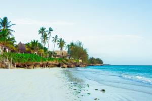 una playa con palmeras y el océano en Mandarin Resort Zanzibar, en Kizimkazi