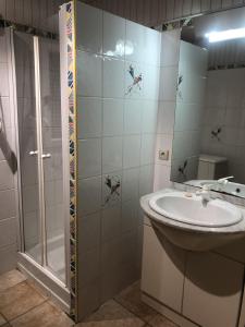 ein Bad mit einem Waschbecken und einer Dusche in der Unterkunft Maison Sur 2 Niveaux in Nance