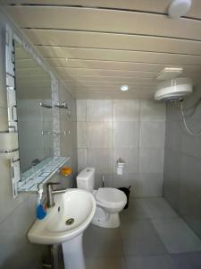 a bathroom with a sink and a toilet and a mirror at Paronyan hostel in Yerevan