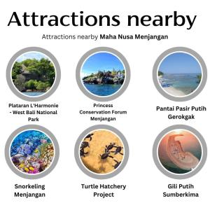 a picture of the different types of vacations in naples at Maha Nusa Menjangan in Banyuwedang