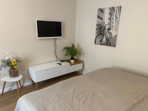 Μια τηλεόραση ή/και κέντρο ψυχαγωγίας στο STING Apartments Havířov