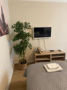 Μια τηλεόραση ή/και κέντρο ψυχαγωγίας στο STING Apartments Havířov