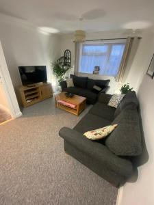 uma sala de estar com um sofá e uma televisão em The Nest em Torquay