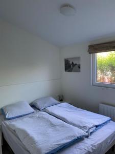 a bed with blue sheets in a room with a window at Seaside - a75754 in Bovenkarspel