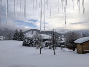 奧特朗的住宿－Maison autrans，一堆冰壶挂在雪覆盖的院子上