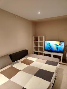 um quarto com uma cama e uma televisão de ecrã plano em Dream Apartment em Jelgava