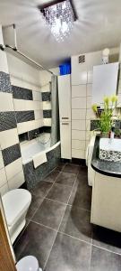 bagno con servizi igienici e lavandino di Apartament Perłowy 2 - z antresolą i widokiem - Dream Apart a Ustroń